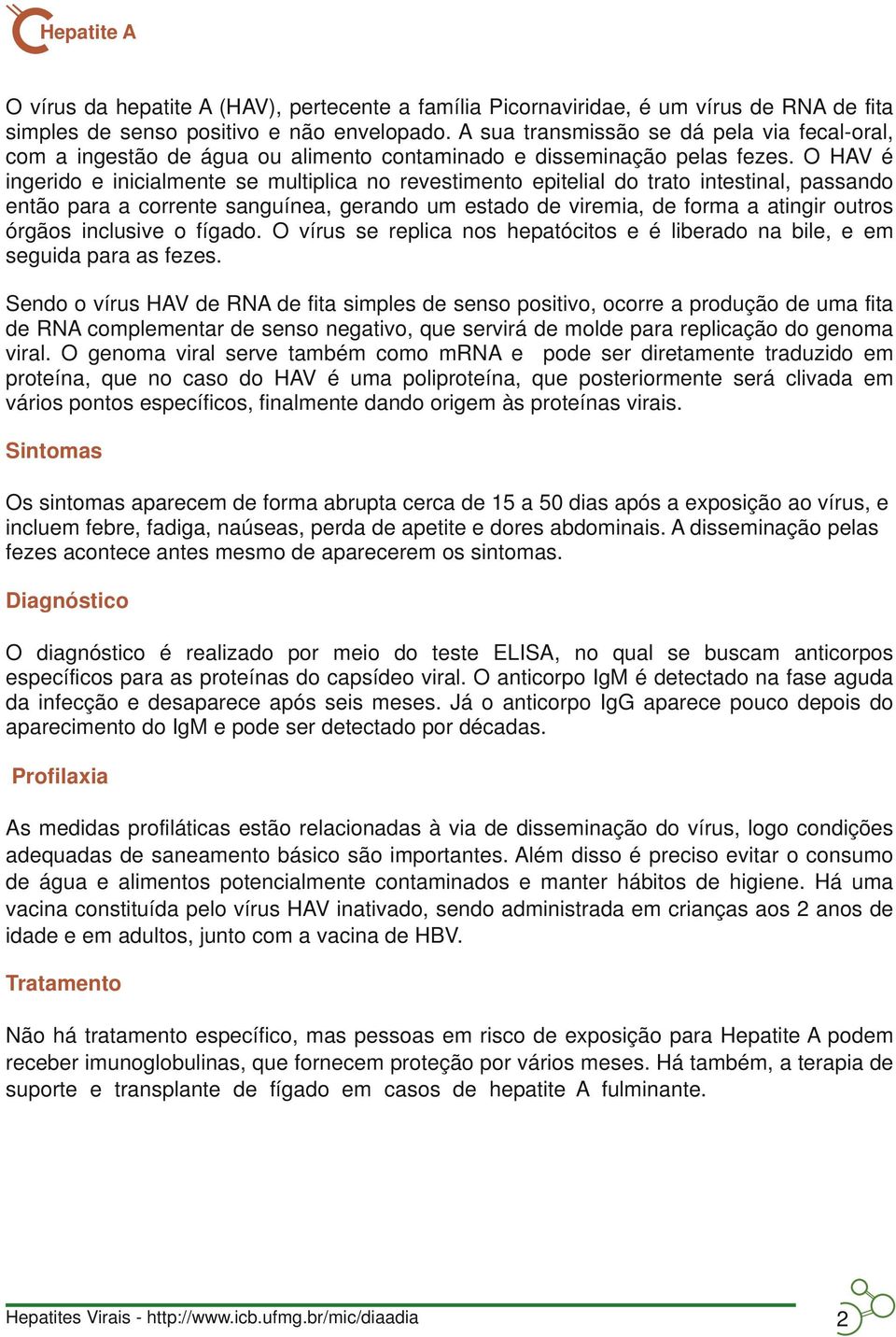 O HAV é ingerido e inicialmente se multiplica no revestimento epitelial do trato intestinal, passando então para a corrente sanguínea, gerando um estado de viremia, de forma a atingir outros órgãos