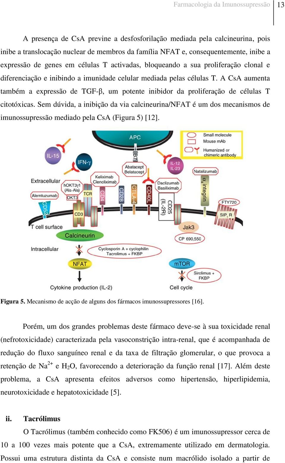 A CsA aumenta também a expressão de TGF-β, um potente inibidor da proliferação de células T citotóxicas.