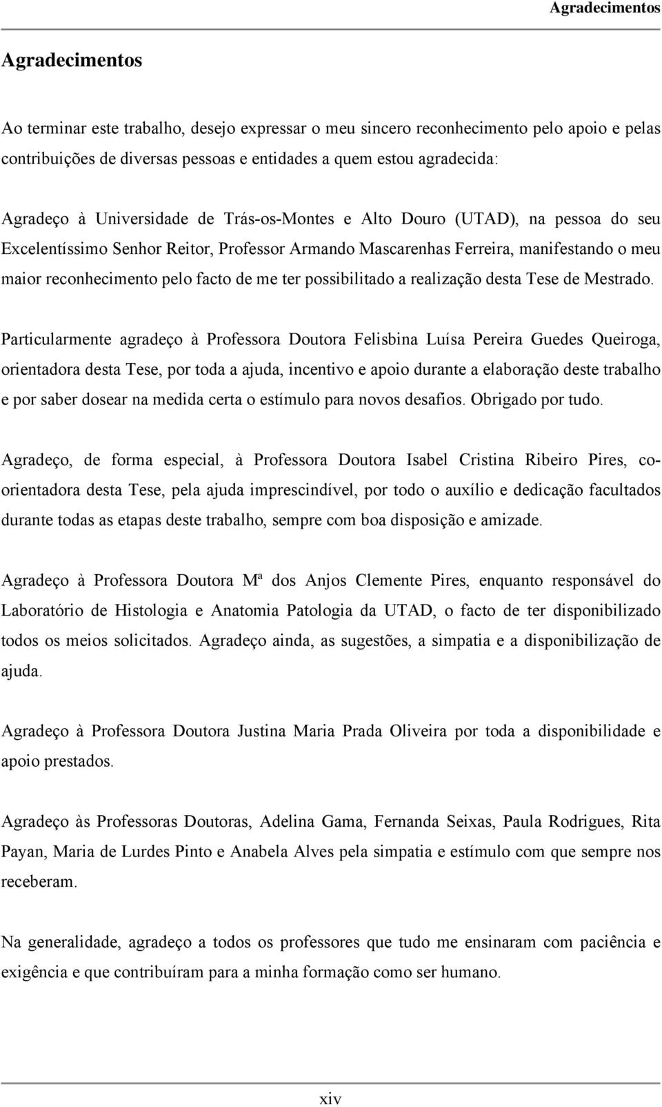 facto de me ter possibilitado a realização desta Tese de Mestrado.