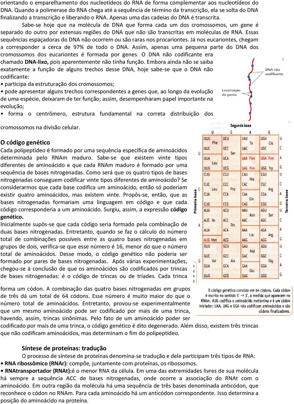 Sabe-se hoje que na molécula de DNA que forma cada um dos cromossomos, um gene é separado do outro por extensas regiões do DNA que não são transcritas em moléculas de RNA.