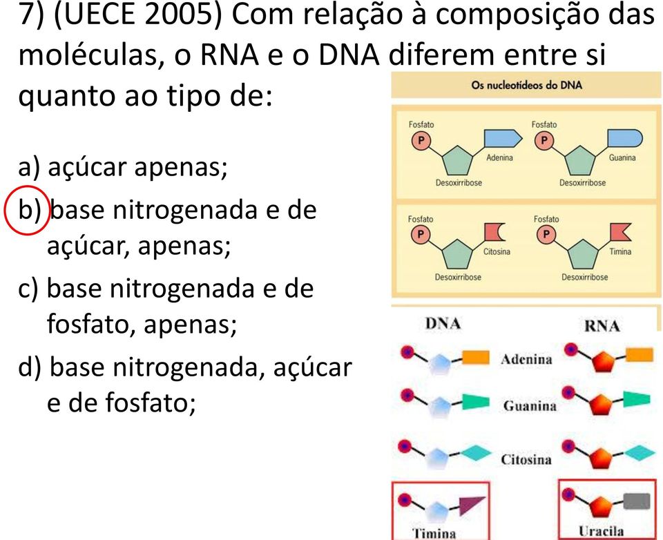 b) base nitrogenada e de açúcar, apenas; c) base nitrogenada