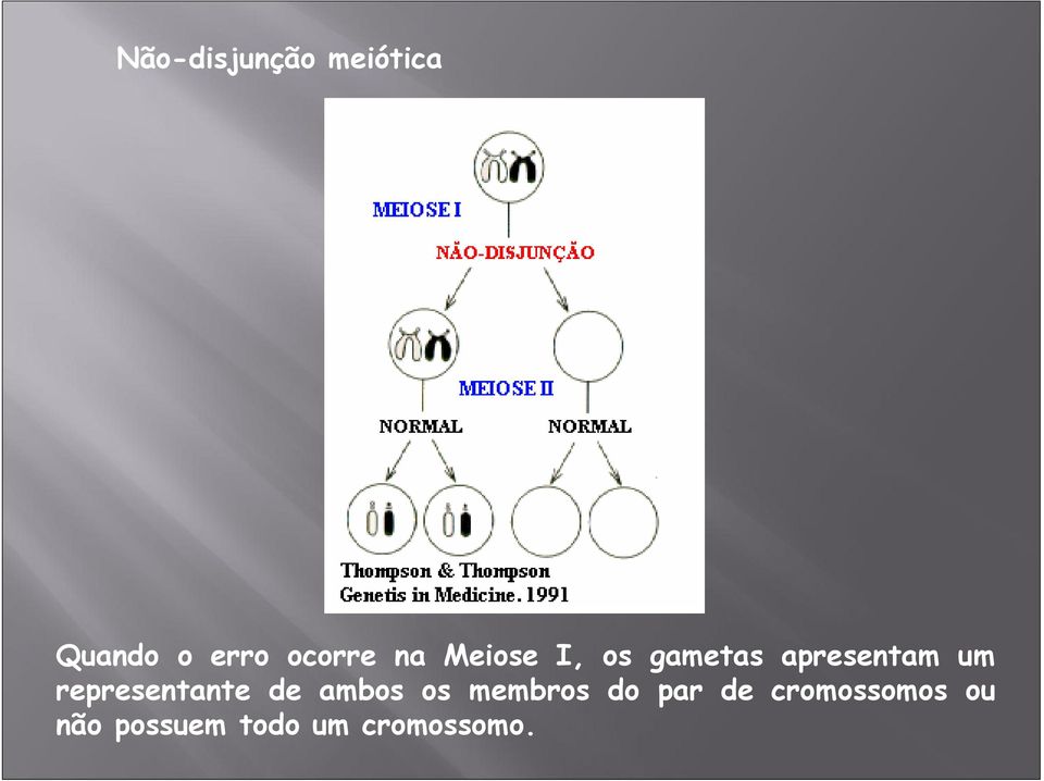 um representante de ambos os membros do