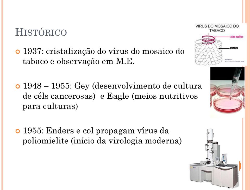 1948 1955: Gey (desenvolvimento de cultura de céls cancerosas) e