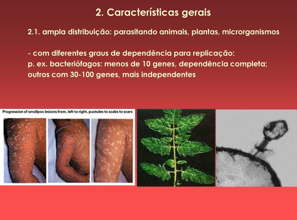 - com diferentes graus de dependência para replicação: p. ex.