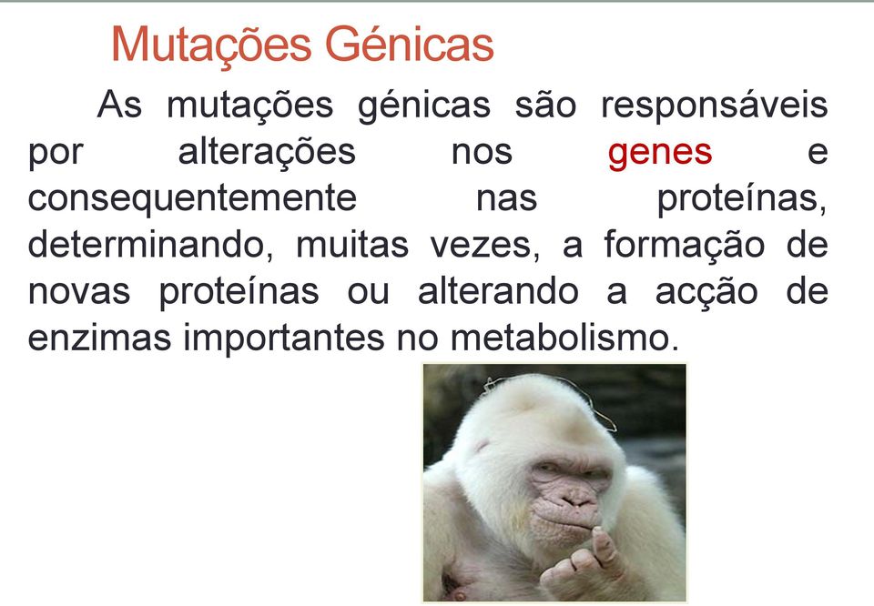 determinando, muitas vezes, a formação de novas proteínas