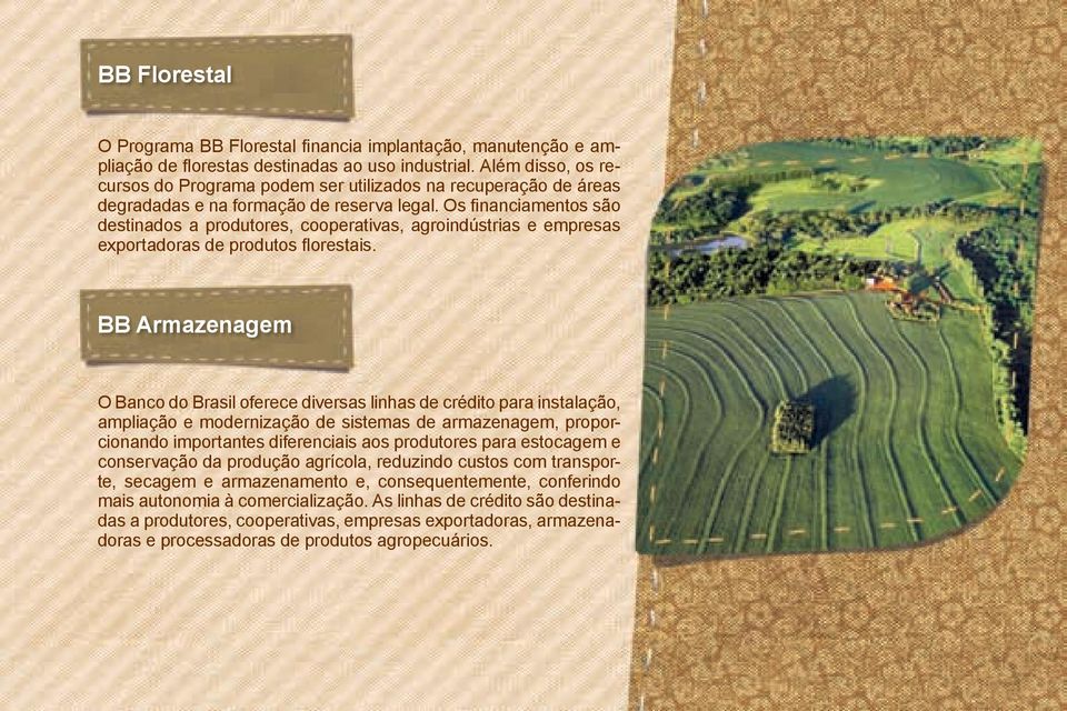 Os financiamentos são destinados a produtores, cooperativas, agroindústrias e empresas exportadoras de produtos florestais.