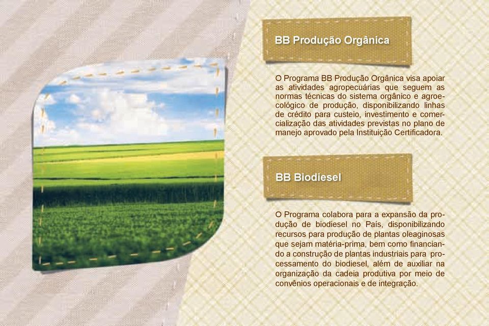 BB Biodiesel O colabora para a expansão da produção de biodiesel no País, disponibilizando recursos para produção de plantas oleaginosas que sejam matéria-prima, bem como