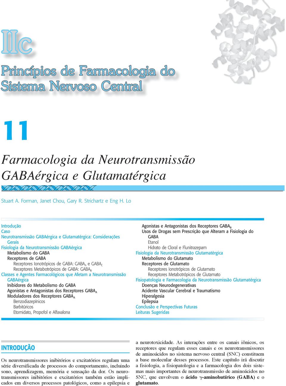 GABA A e GABA C Receptores Metabotrópicos de GABA: GABA B Classes e Agentes Farmacológicos que Afetam a Neurotransmissão GABAérgica Inibidores do Metabolismo do GABA Agonistas e Antagonistas dos