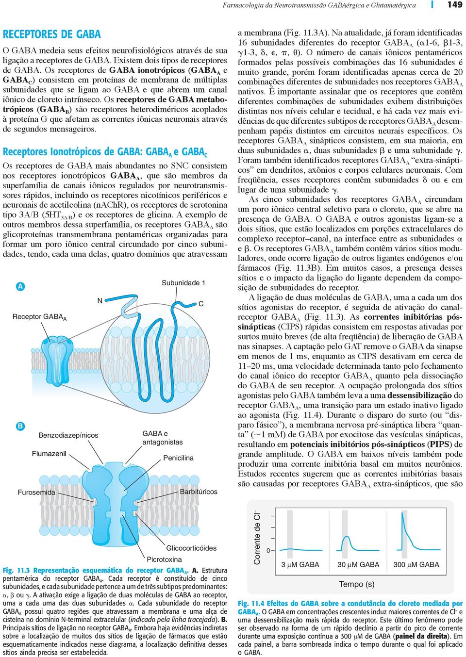 s receptores de GABA ionotrópicos (GABA A e GABA C ) consistem em proteínas de membrana de múltiplas subunidades que se ligam ao GABA e que abrem um canal iônico de cloreto intrínseco.