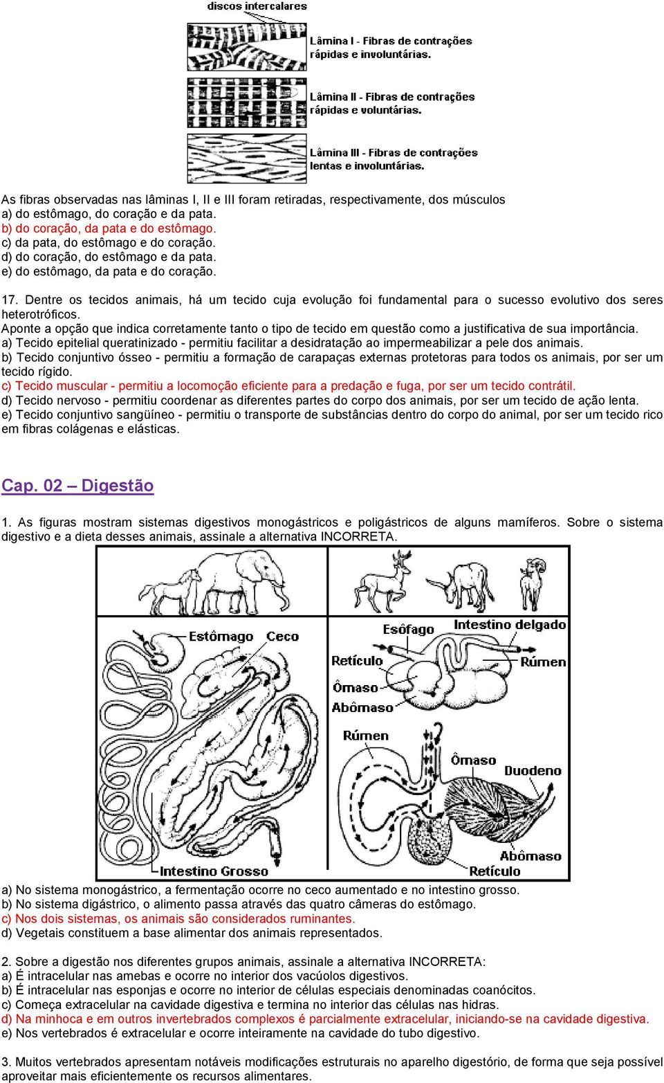 Dentre os tecidos animais, há um tecido cuja evolução foi fundamental para o sucesso evolutivo dos seres heterotróficos.