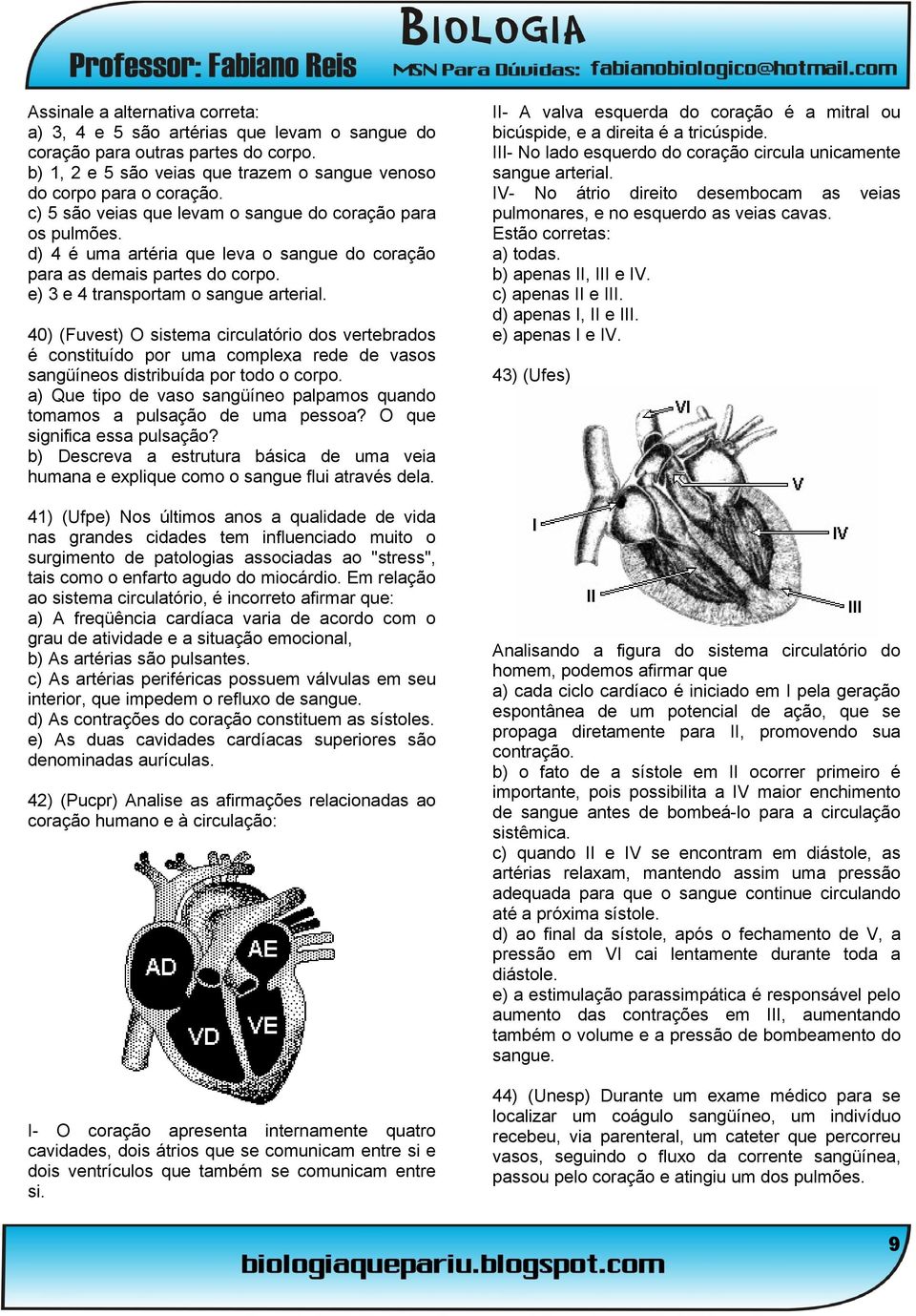 40) (Fuvest) O sistema circulatório dos vertebrados é constituído por uma complexa rede de vasos sangüíneos distribuída por todo o corpo.