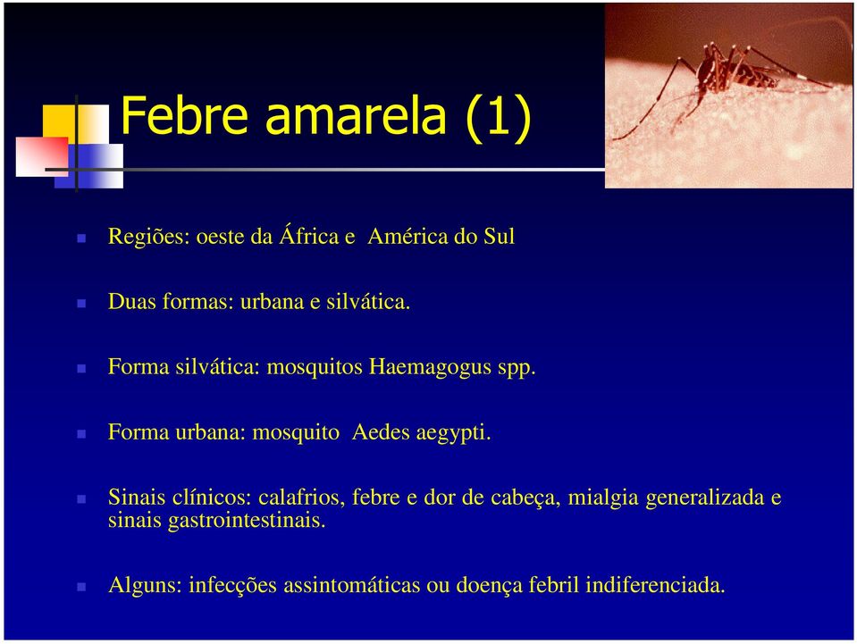 Forma urbana: mosquito Aedes aegypti.