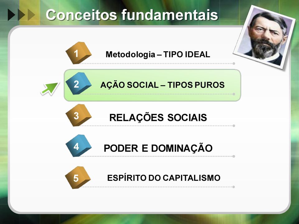 SOCIAL TIPOS PUROS 3 RELAÇÕES