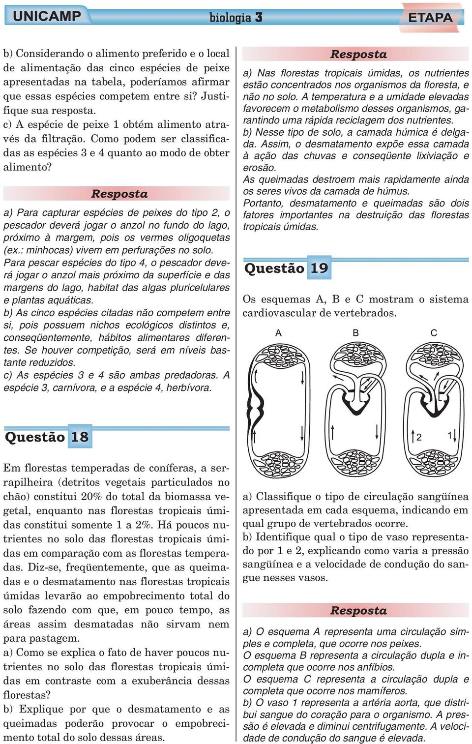 a) Para capturar espécies de peixes do tipo 2, o pescador deverá jogar o anzol no fundo do lago, próximo à margem, pois os vermes oligoquetas (ex.: minhocas) vivem em perfurações no solo.