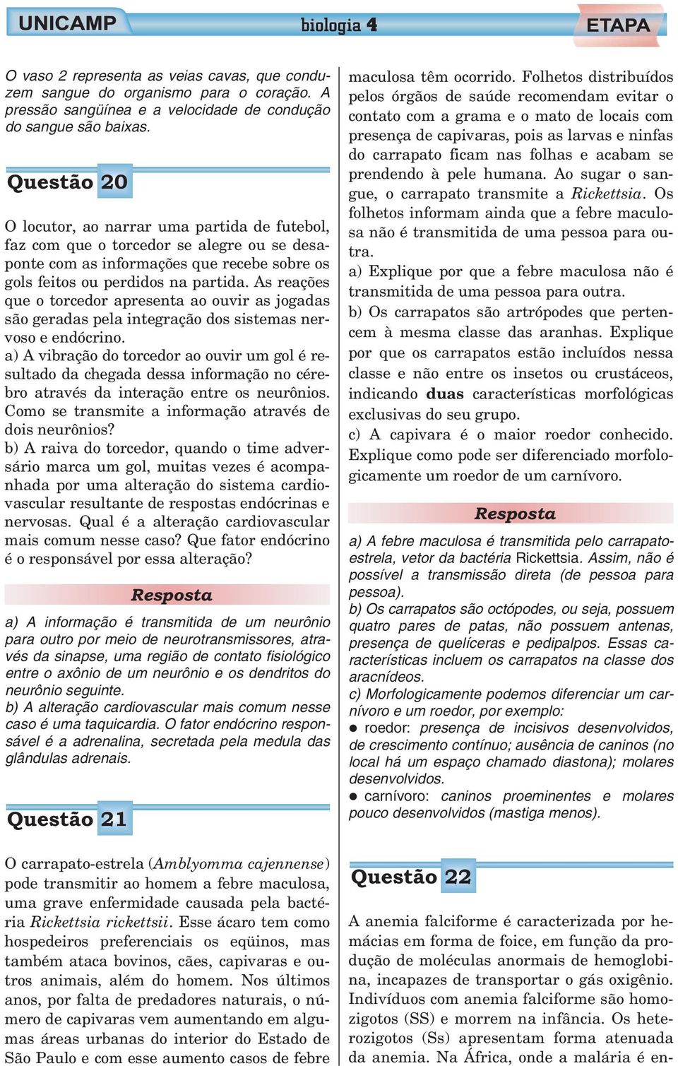 As reações que o torcedor apresenta ao ouvir as jogadas são geradas pela integração dos sistemas nervoso e endócrino.