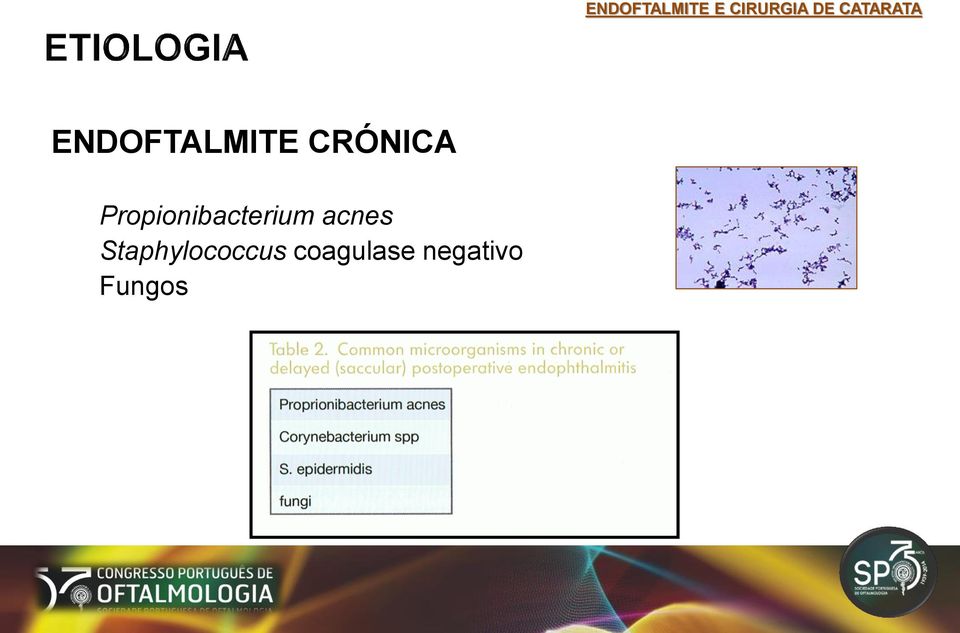 Staphylococcus coagulase