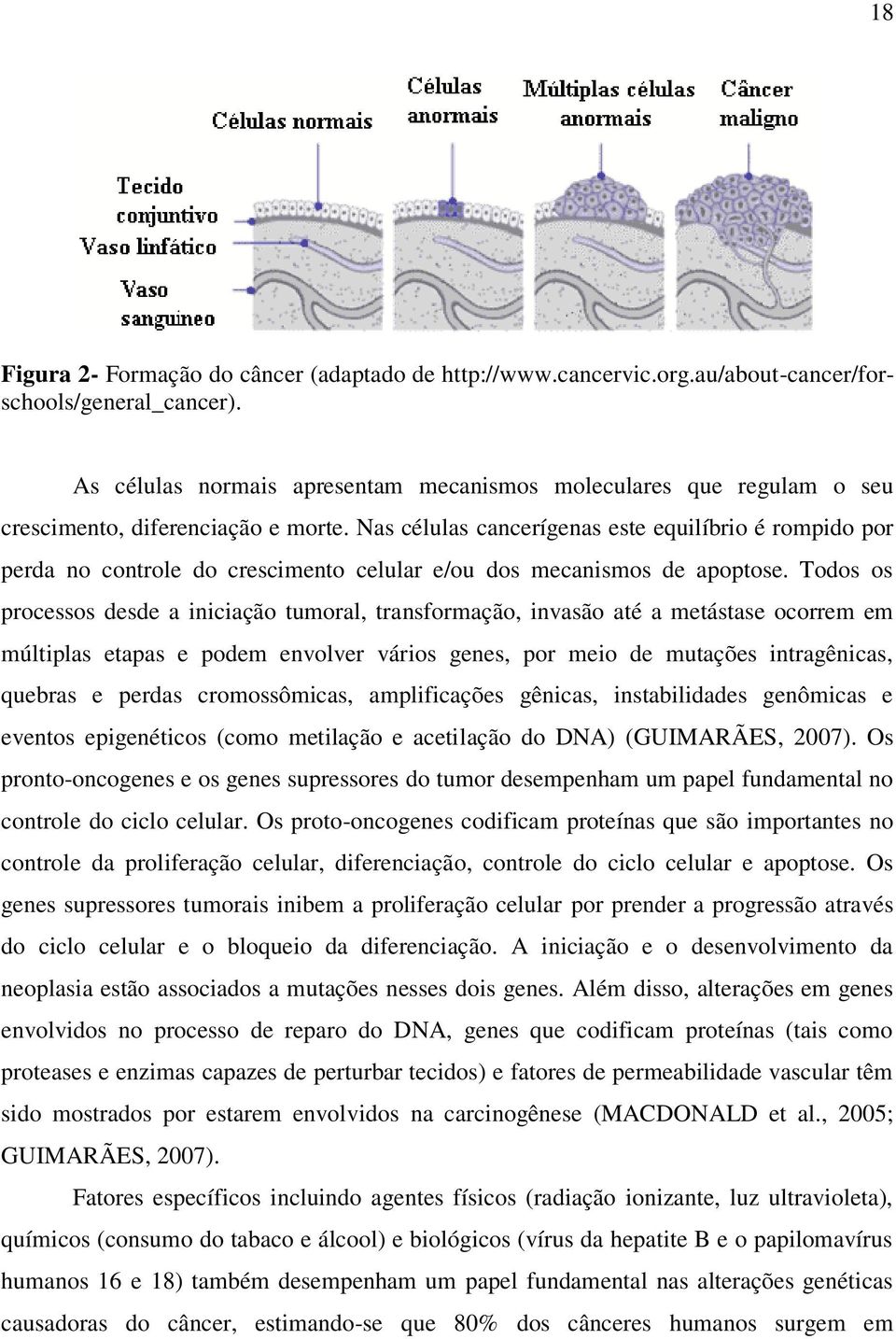 Nas células cancerígenas este equilíbrio é rompido por perda no controle do crescimento celular e/ou dos mecanismos de apoptose.