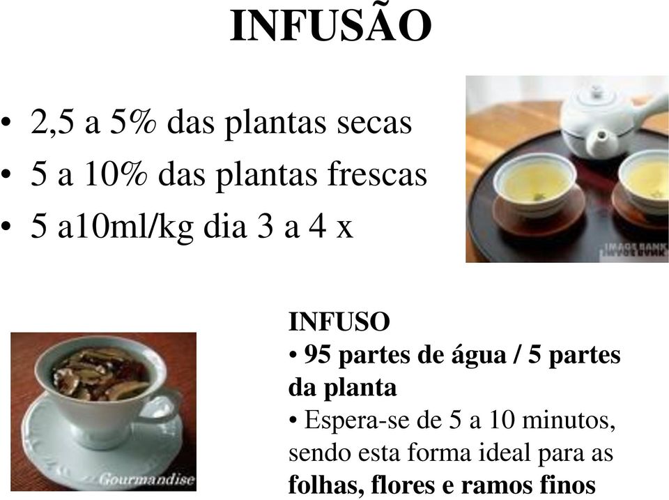 água / 5 partes da planta Espera-se de 5 a 10 minutos,