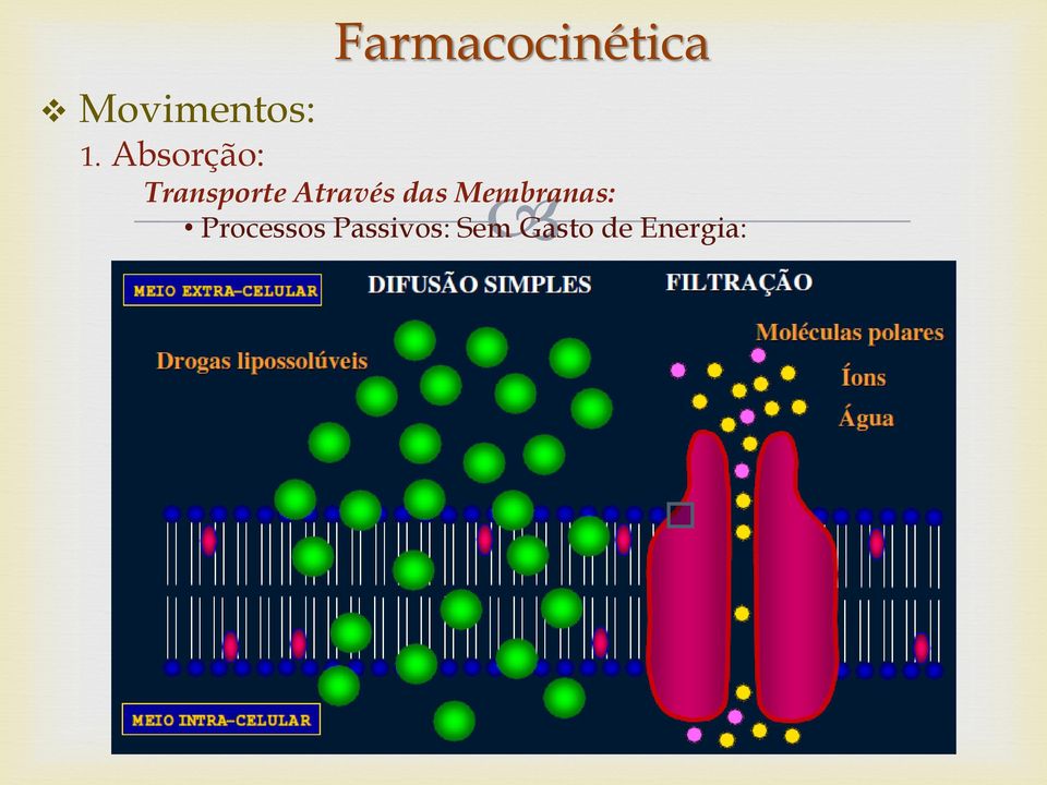 Através das Membranas: