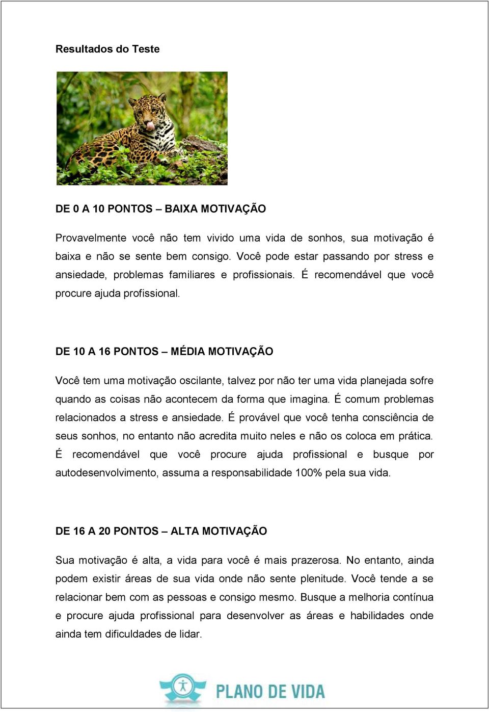 DE 10 A 16 PONTOS MÉDIA MOTIVAÇÃO Você tem uma motivação oscilante, talvez por não ter uma vida planejada sofre quando as coisas não acontecem da forma que imagina.