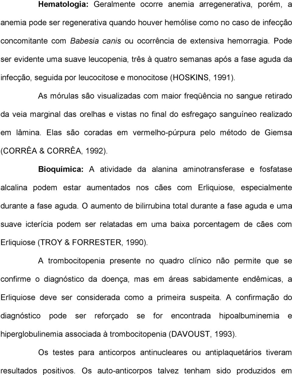 As mórulas são visualizadas com maior freqüência no sangue retirado da veia marginal das orelhas e vistas no final do esfregaço sanguíneo realizado em lâmina.