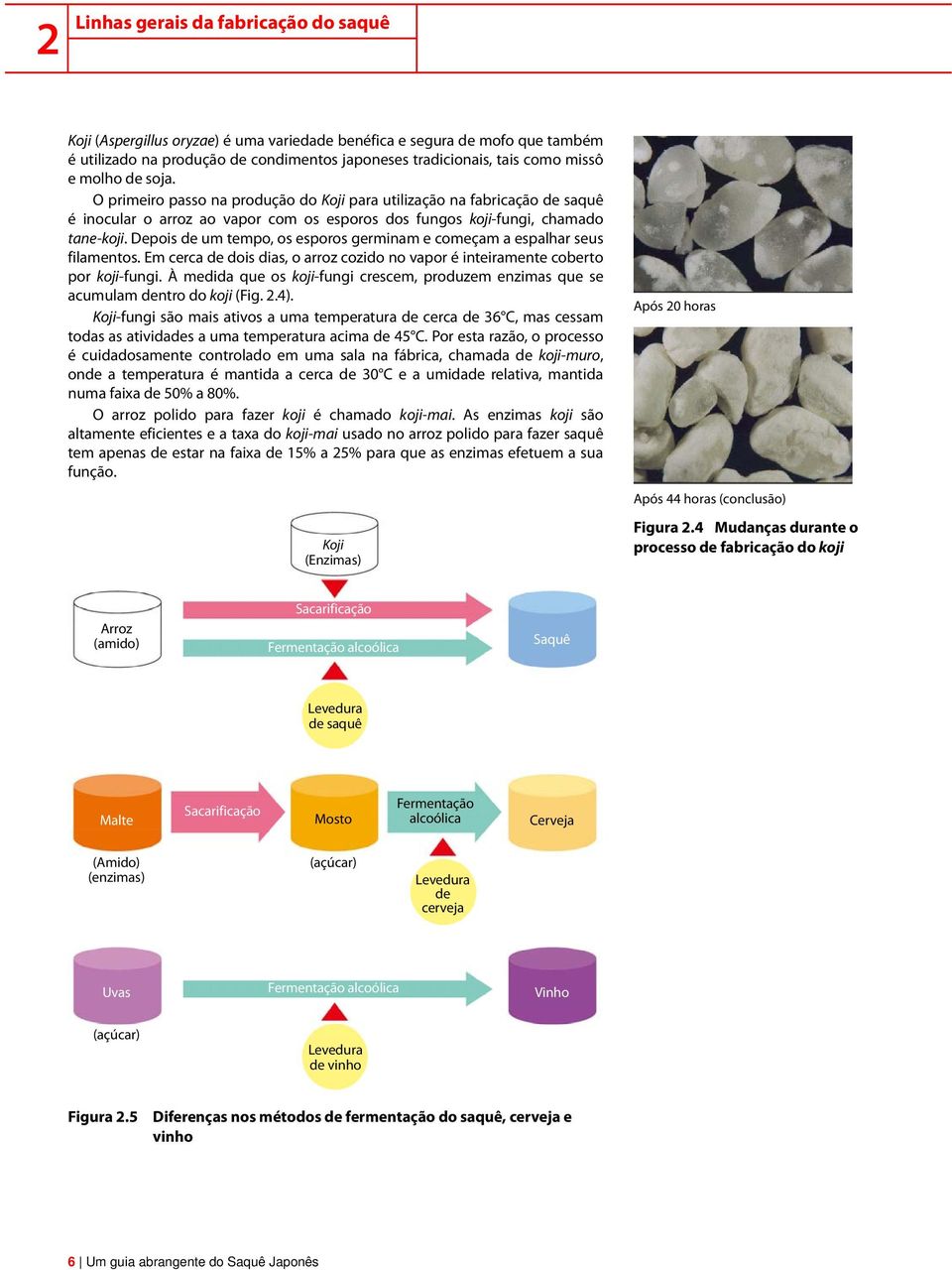 Depois de um tempo, os esporos germinam e começam a espalhar seus filamentos. Em cerca de dois dias, o arroz cozido no vapor é inteiramente coberto por koji-fungi.