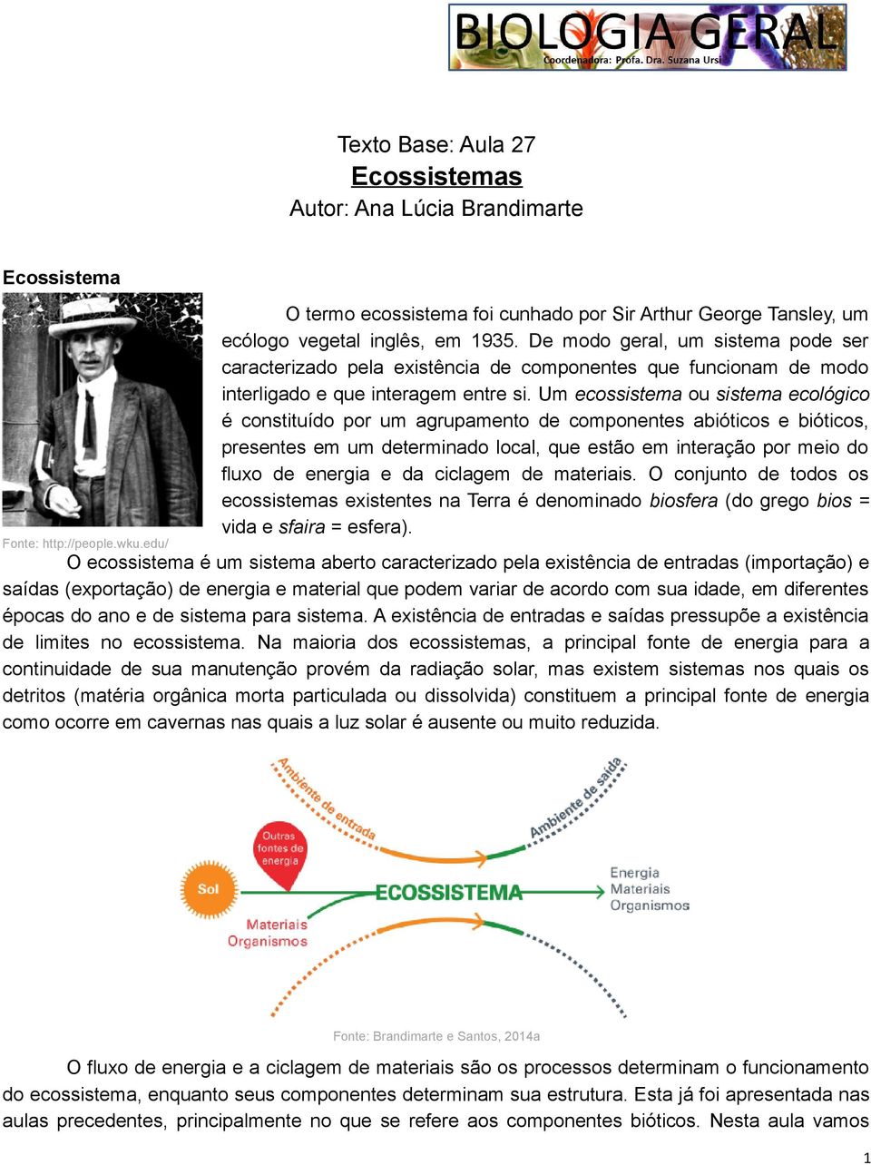 De modo geral, um sistema pode ser caracterizado pela existência de componentes que funcionam de modo interligado e que interagem entre si.