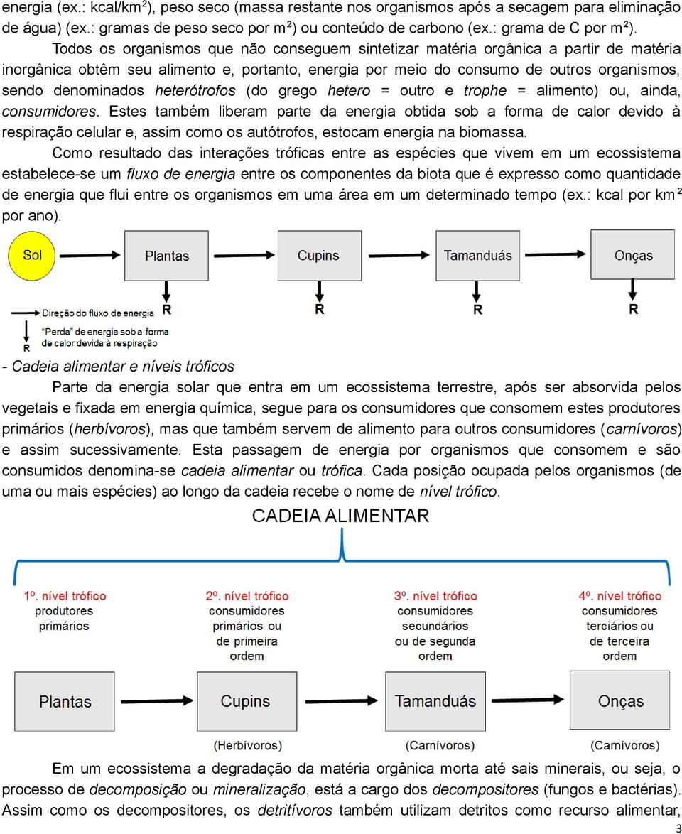 heterótrofos (do grego hetero = outro e trophe = alimento) ou, ainda, consumidores.