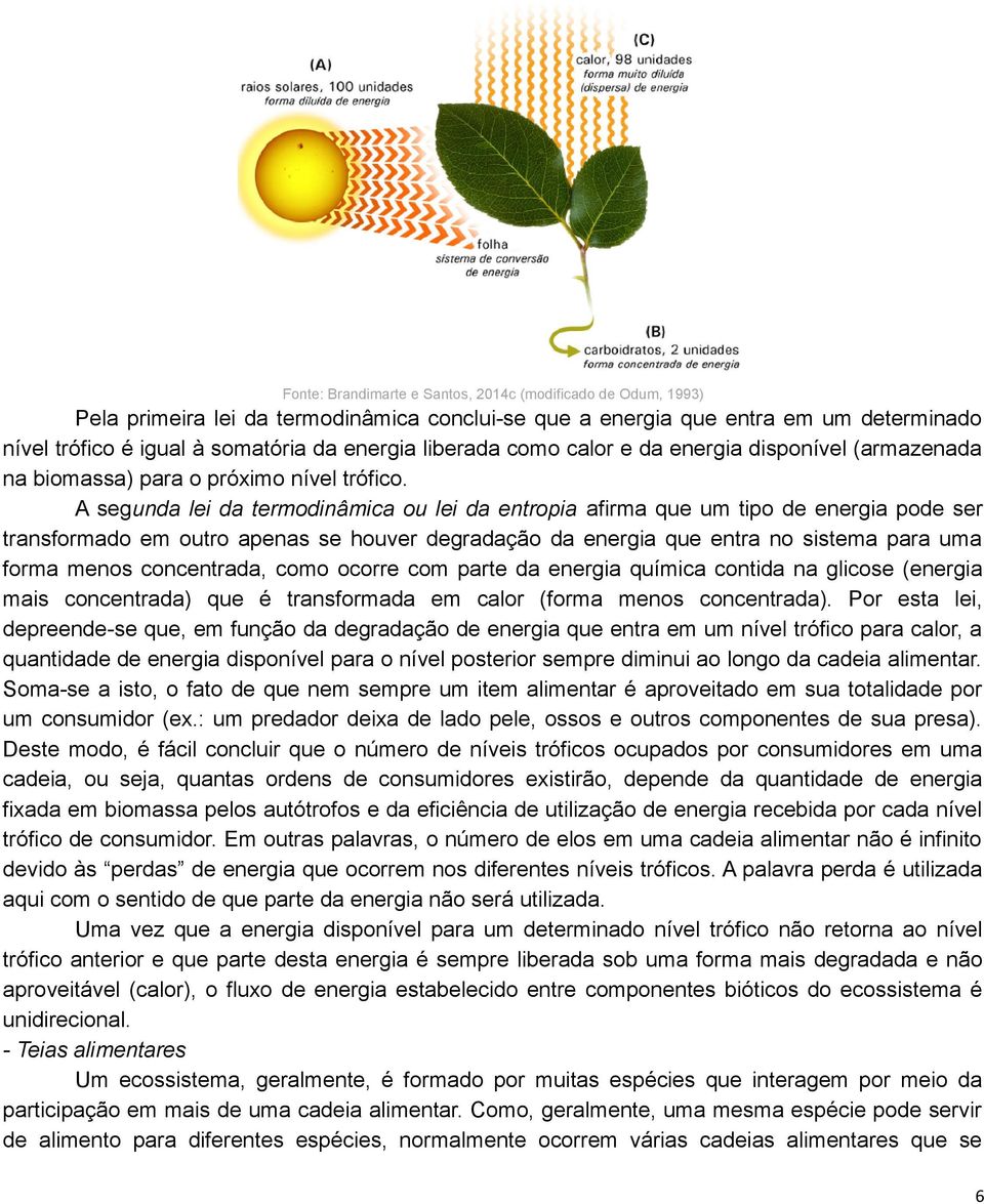 A segunda lei da termodinâmica ou lei da entropia afirma que um tipo de energia pode ser transformado em outro apenas se houver degradação da energia que entra no sistema para uma forma menos