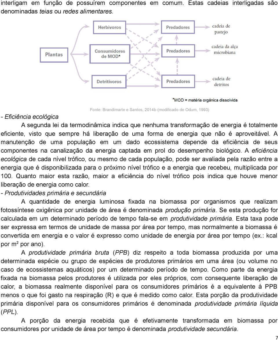 sempre há liberação de uma forma de energia que não é aproveitável.