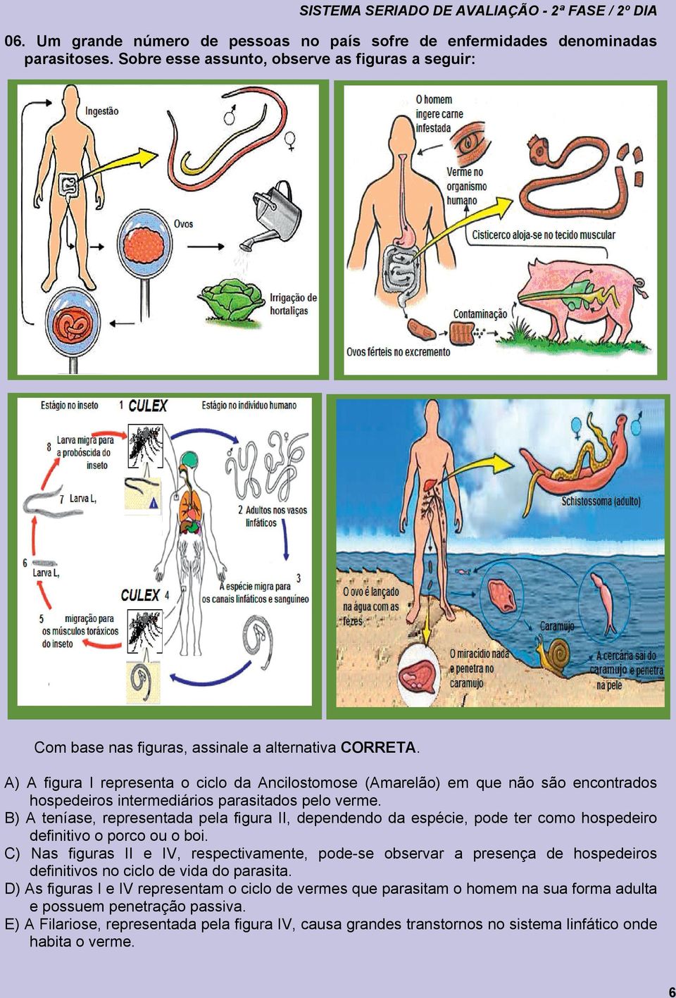 A) A figura I representa o ciclo da Ancilostomose (Amarelão) em que não são encontrados hospedeiros intermediários parasitados pelo verme.