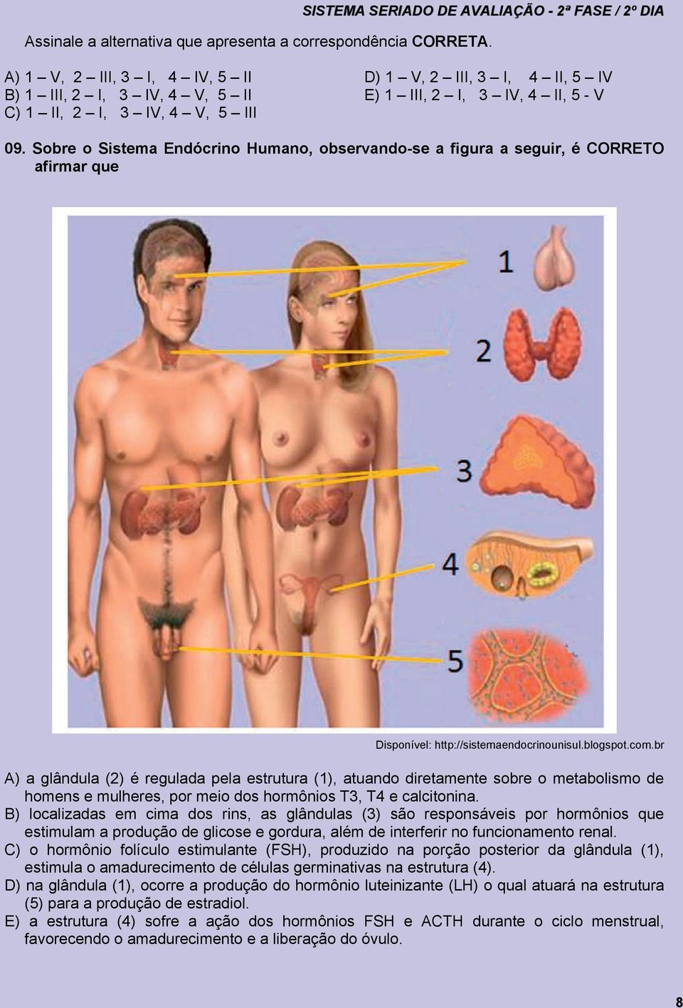 Sobre o Sistema Endócrino Humano, observando-se a figura a seguir, é CORRETO afirmar que Disponível: http://sistemaendocrinounisul.blogspot.com.