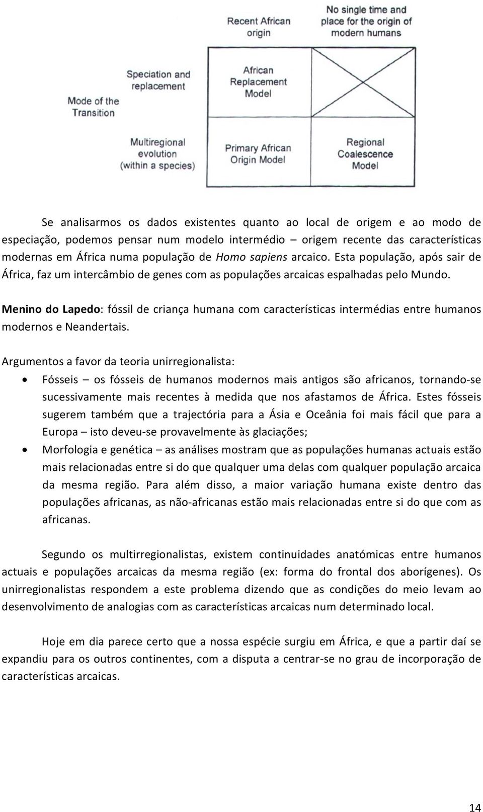 Menino do Lapedo: fóssil de criança humana com características intermédias entre humanos modernos e Neandertais.