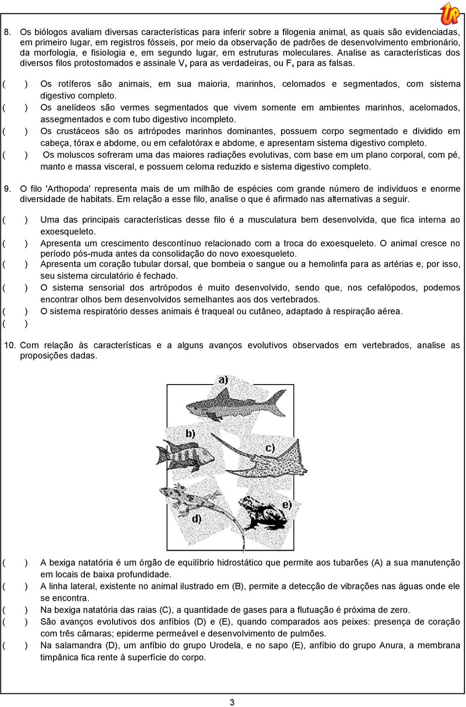 Analise as características dos diversos filos protostomados e assinale V, para as verdadeiras, ou F, para as falsas.