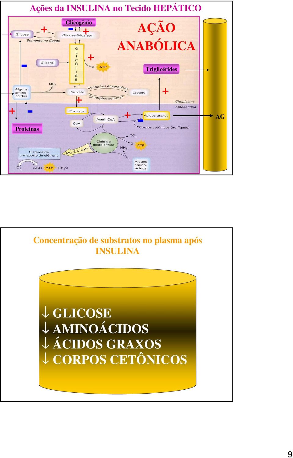 + AG Concentração de substratos no plasma após