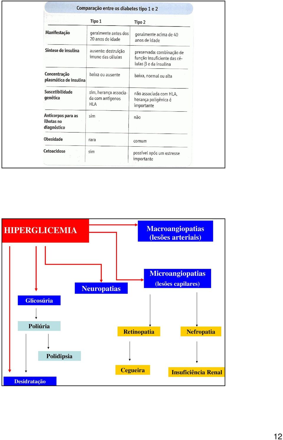 Microangiopatias (lesões capilares) Poliúria