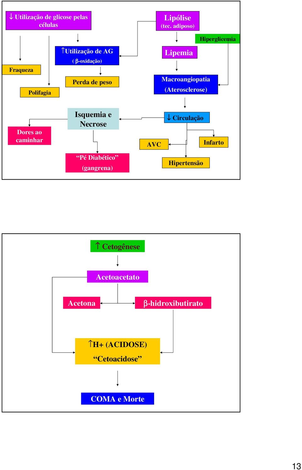 Lipemia Macroangiopatia (Aterosclerose) Dores ao caminhar Isquemia e Necrose AVC