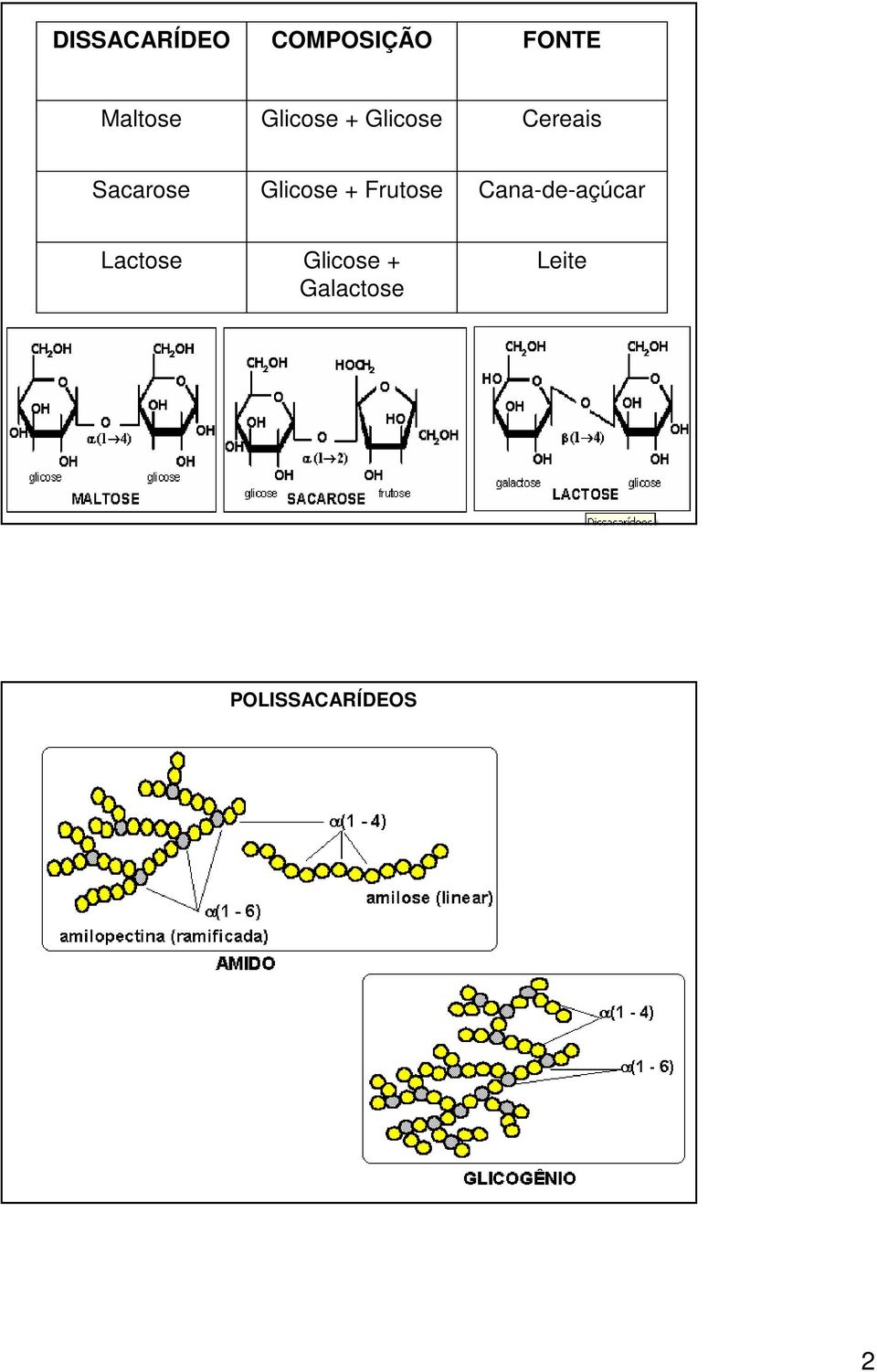 Glicose + Frutose Cana-de-açúcar