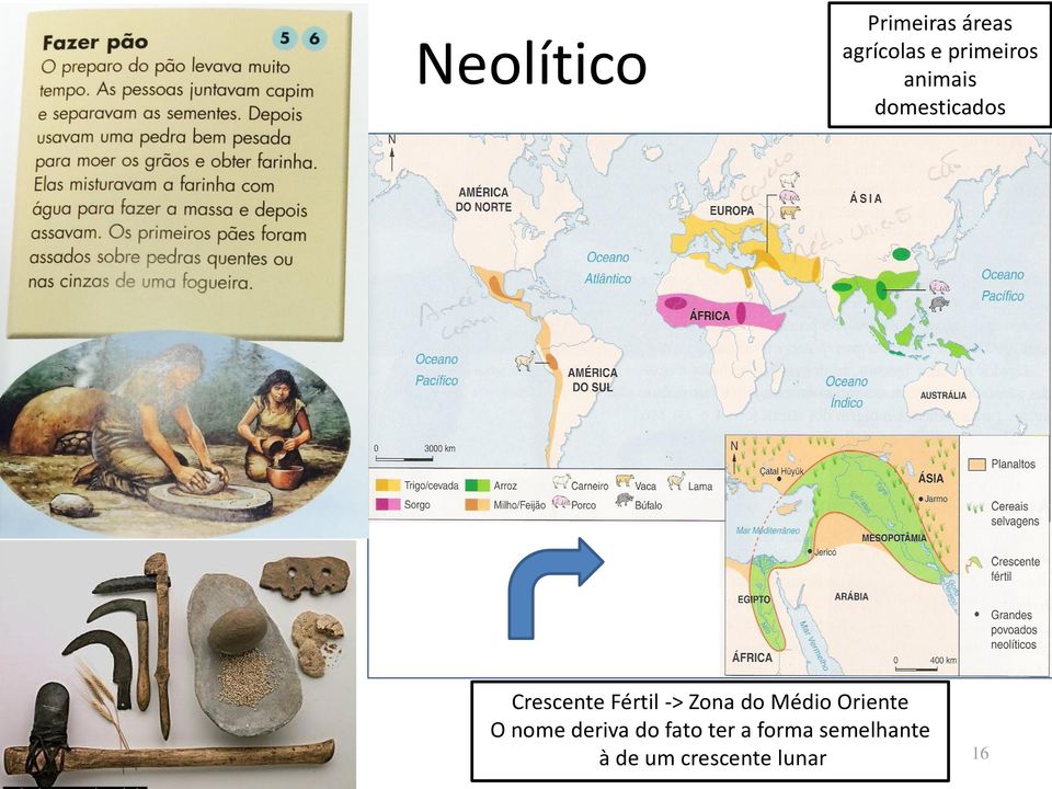 Fértil -> Zona do Médio Oriente O nome deriva