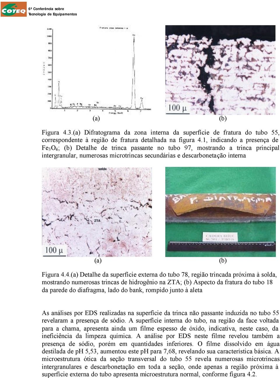 Figura 4.