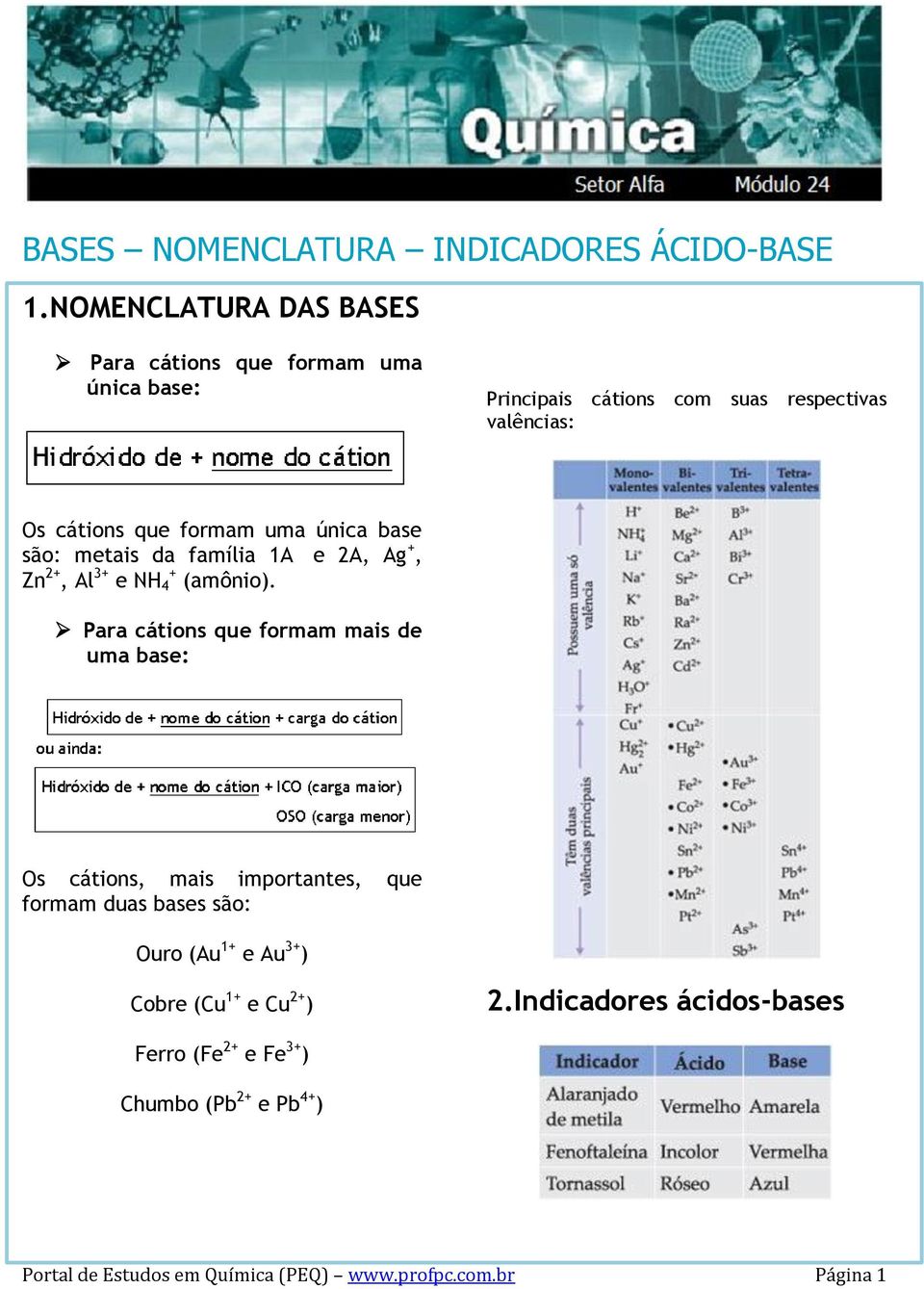 uma única base são: metais da família 1A e 2A, Ag +, Zn 2+, Al 3+ e NH 4 + (amônio).