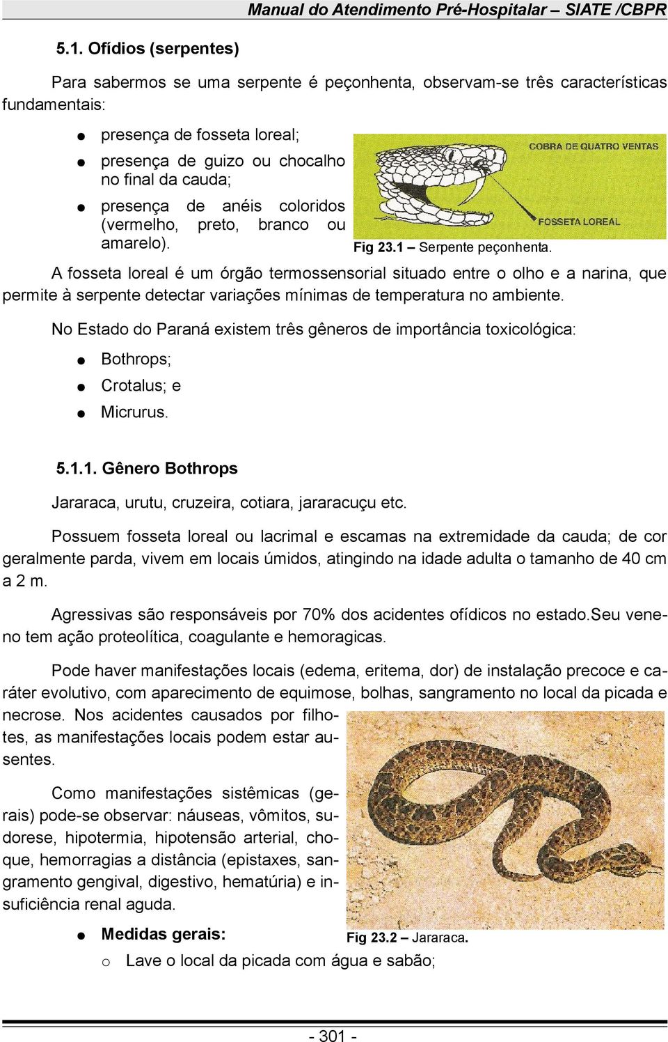 anéis coloridos (vermelho, preto, branco ou amarelo). Fig 23.1 Serpente peçonhenta.
