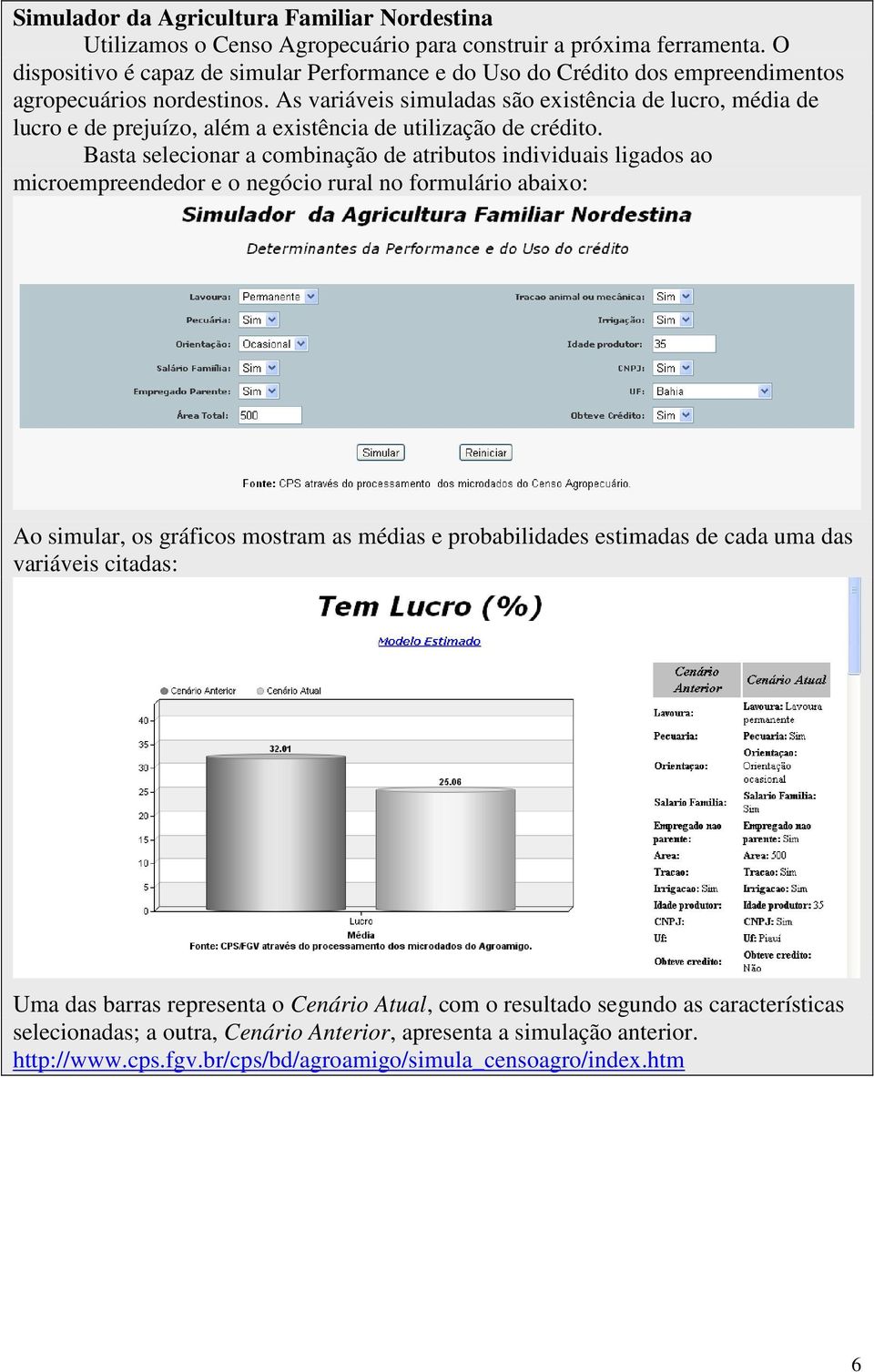 As variáveis simuladas são existência de lucro, média de lucro e de prejuízo, além a existência de utilização de crédito.