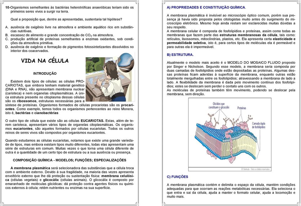 2 na atmosfera. C. produção artificial de proteínas semelhantes a enzimas oxidantes, sob condições da atmosfera primitiva. D.