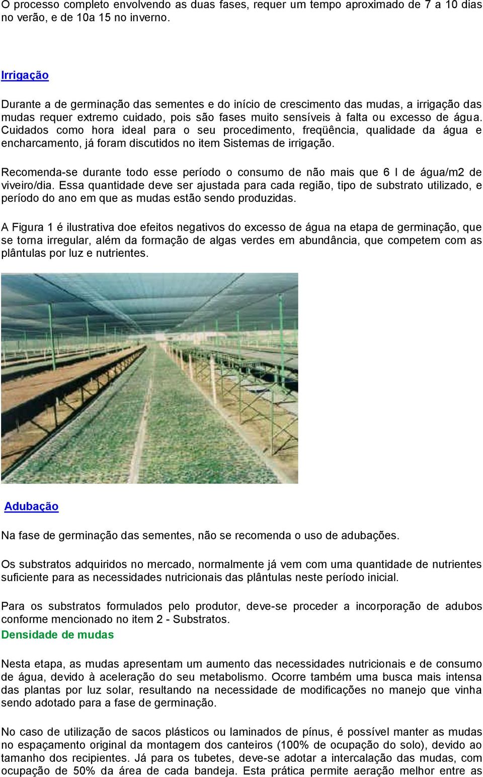 Cuidados como hora ideal para o seu procedimento, freqüência, qualidade da água e encharcamento, já foram discutidos no item Sistemas de irrigação.