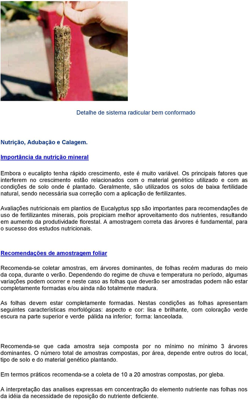 Geralmente, são utilizados os solos de baixa fertilidade natural, sendo necessária sua correção com a aplicação de fertilizantes.