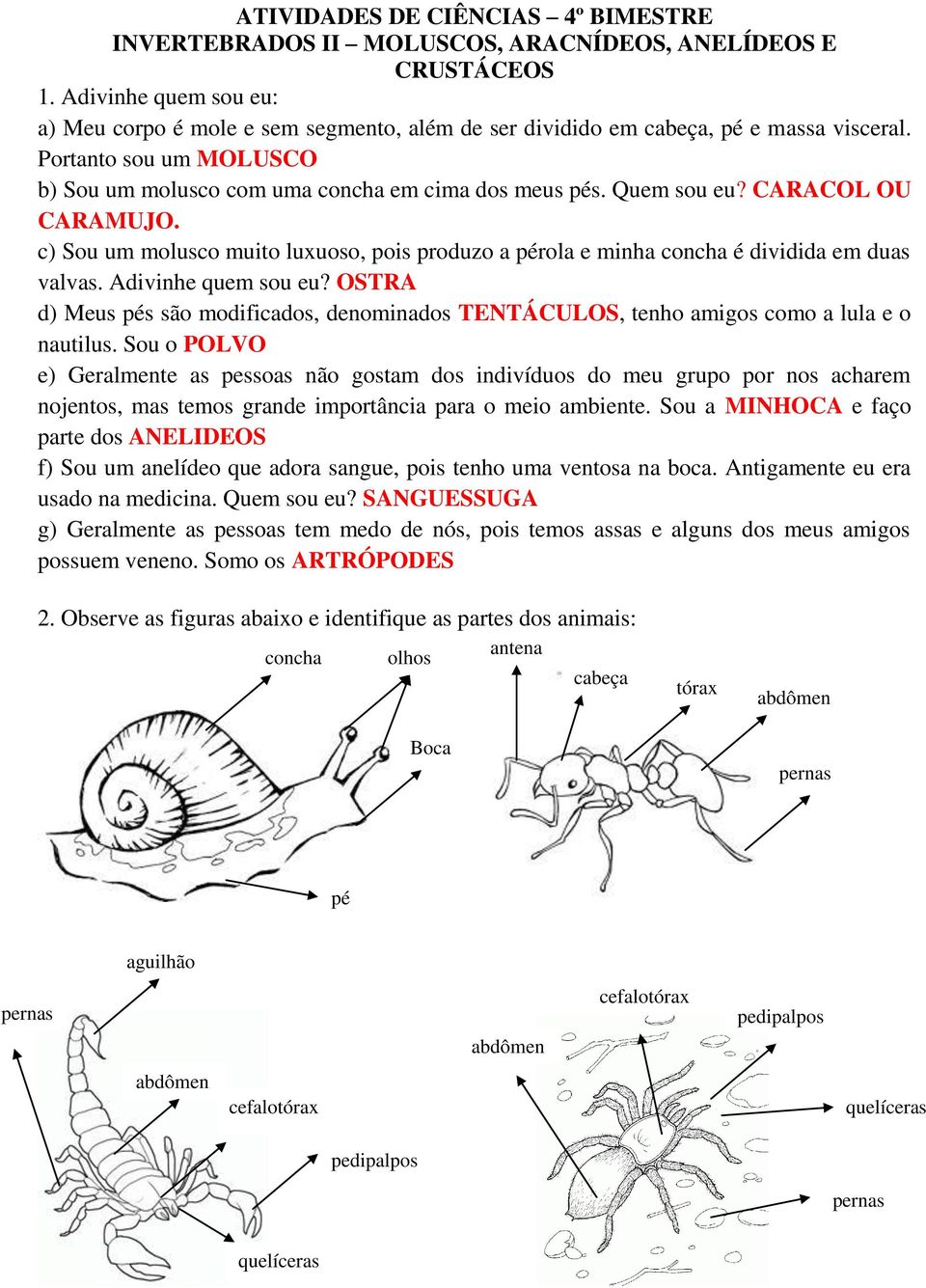 Quem sou eu? CARACOL OU CARAMUJO. c) Sou um molusco muito luxuoso, pois produzo a pérola e minha concha é dividida em duas valvas. Adivinhe quem sou eu?