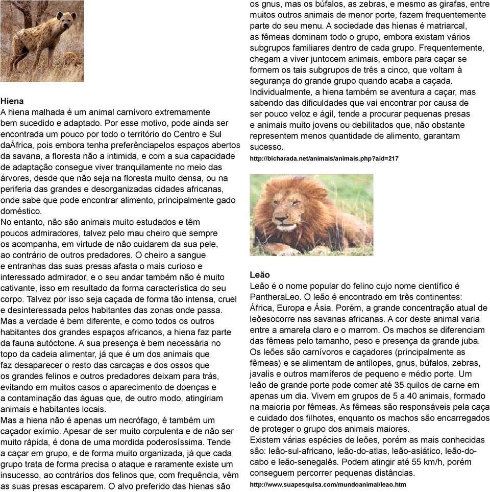 sua capacidade de adaptação consegue viver tranquilamente no meio das árvores, desde que não seja na floresta muito densa, ou na periferia das grandes e desorganizadas cidades africanas, onde sabe