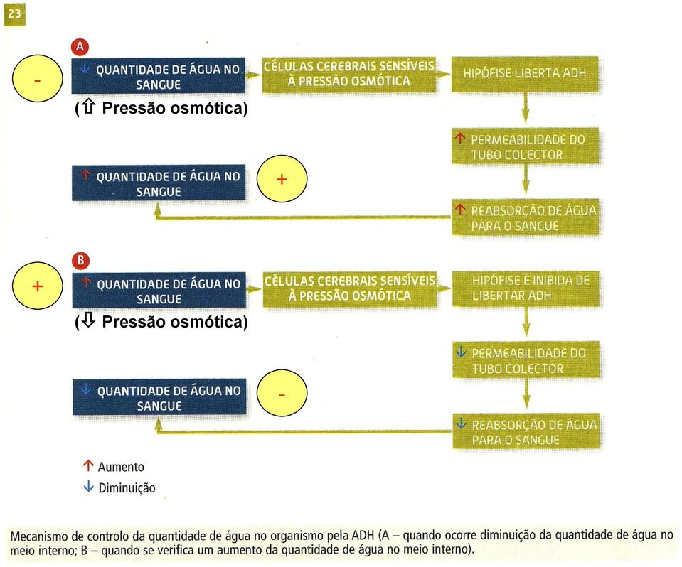 + ( Pressão