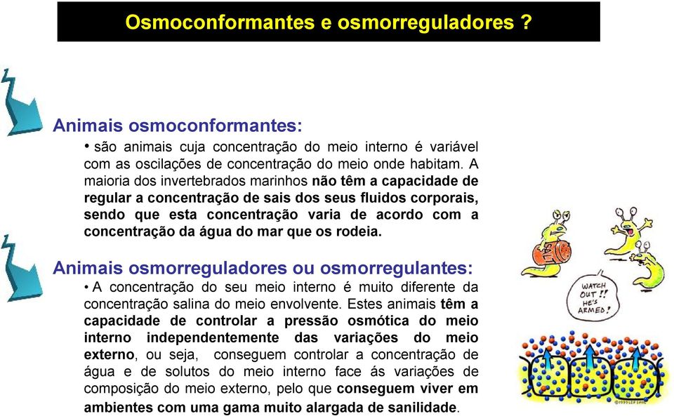 que os rodeia. Animais osmorreguladores ou osmorregulantes: A concentração do seu meio interno é muito diferente da concentração salina do meio envolvente.